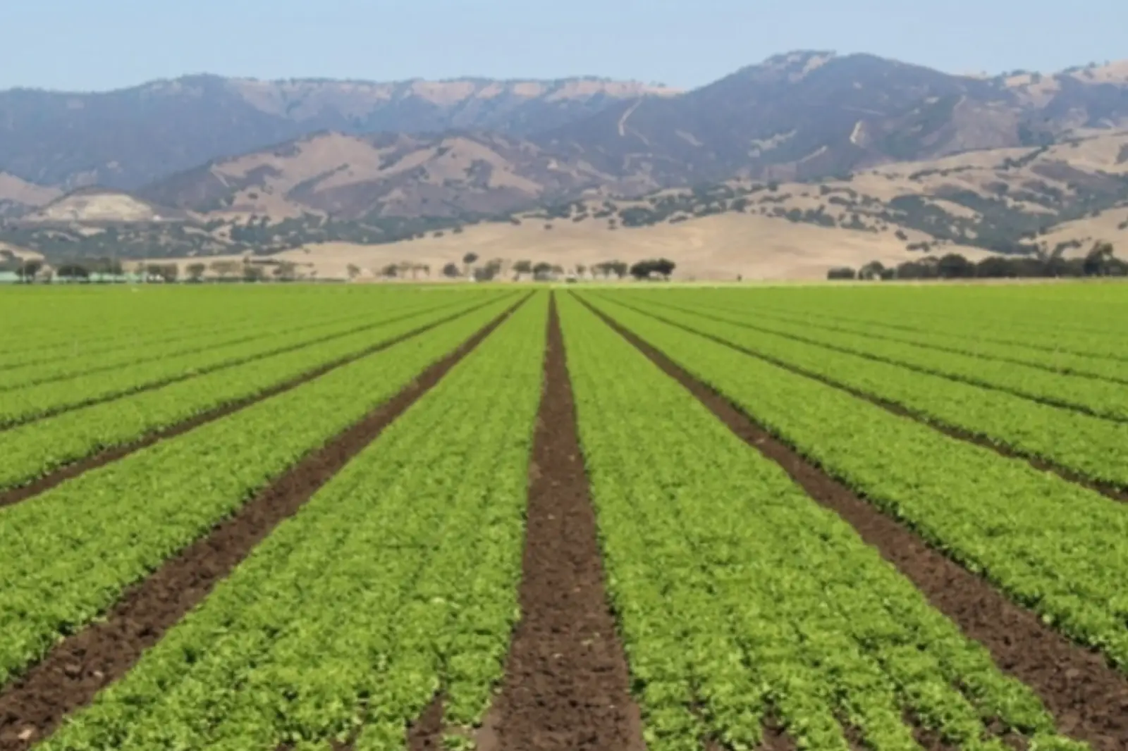 Improvement of water supply for agricultural fields in Shahhuseynli village, Zardab District. Years 2024–2026